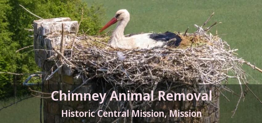 Chimney Animal Removal Historic Central Mission, Mission - BC