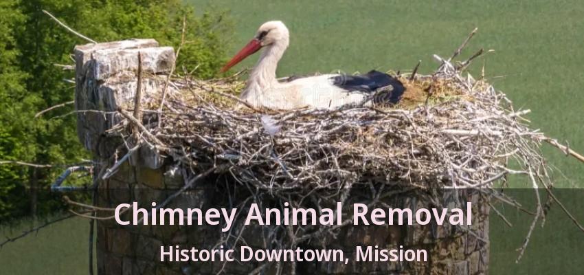 Chimney Animal Removal Historic Downtown, Mission - BC