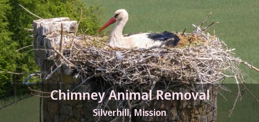 Chimney Animal Removal Silverhill, Mission - BC