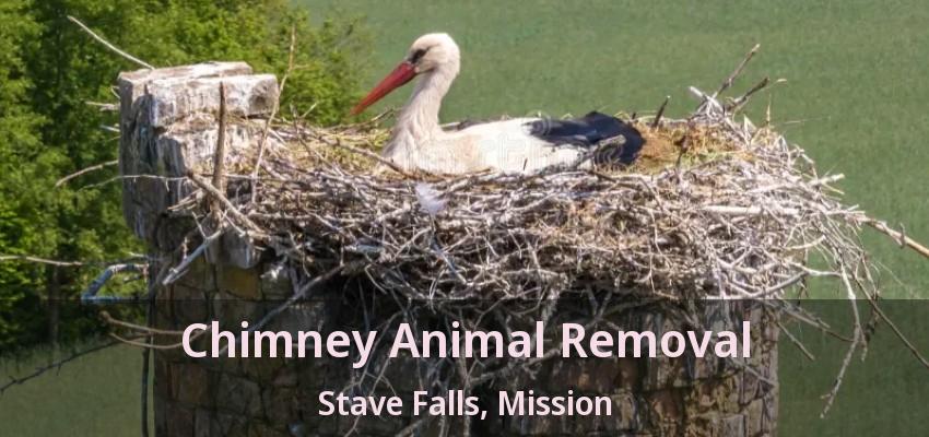 Chimney Animal Removal Stave Falls, Mission - BC
