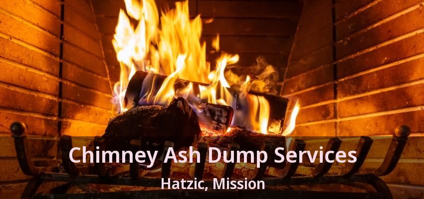 Chimney Ash Dump Services Hatzic, Mission - BC
