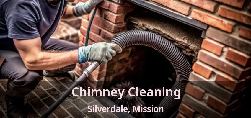 Chimney Cleaning Silverdale, Mission - BC