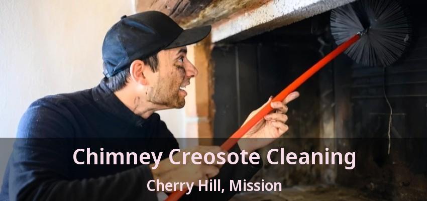 Chimney Creosote Cleaning Cherry Hill, Mission - BC