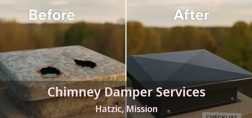Chimney Damper Services Hatzic, Mission - BC