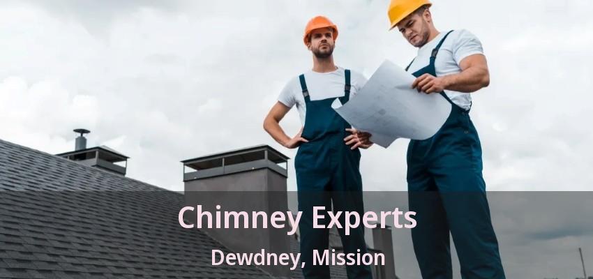 Chimney Experts Dewdney, Mission - BC