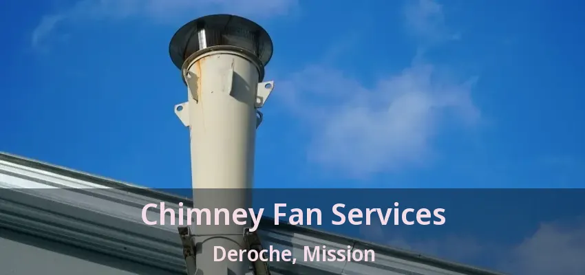 Chimney Fan Services Deroche, Mission - BC