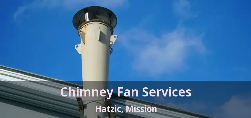 Chimney Fan Services Hatzic, Mission - BC