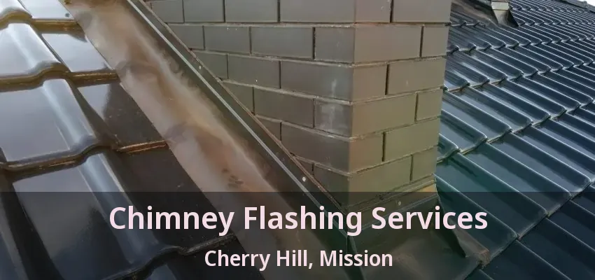 Chimney Flashing Services Cherry Hill, Mission - BC