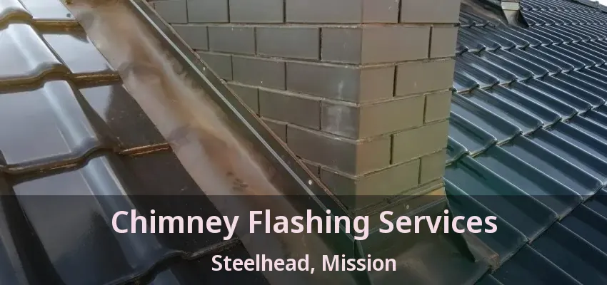 Chimney Flashing Services Steelhead, Mission - BC