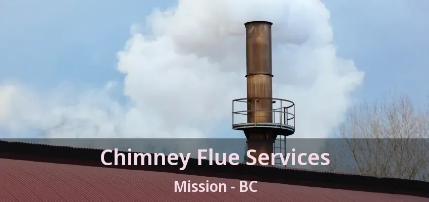 Chimney Flue Services Mission - BC