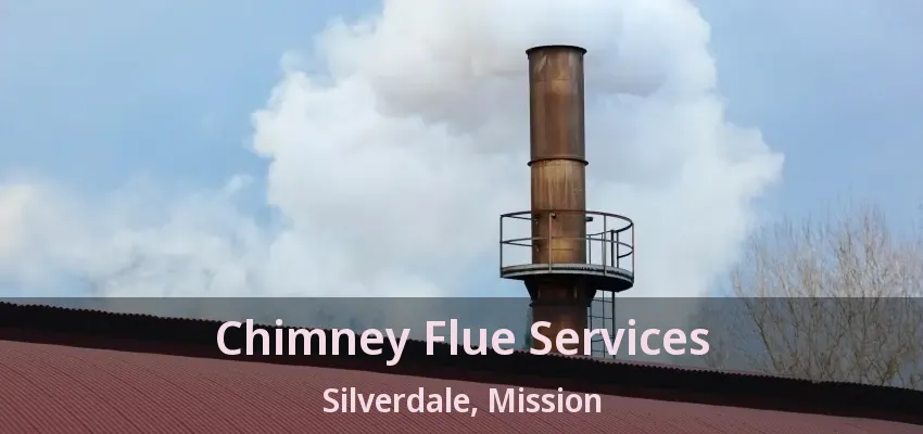 Chimney Flue Services Silverdale, Mission - BC