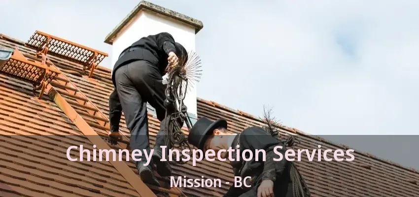 Chimney Inspection Services Mission - BC