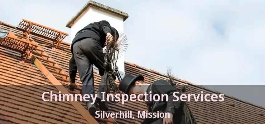 Chimney Inspection Services Silverhill, Mission - BC