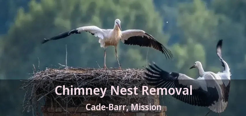 Chimney Nest Removal Cade-Barr, Mission - BC