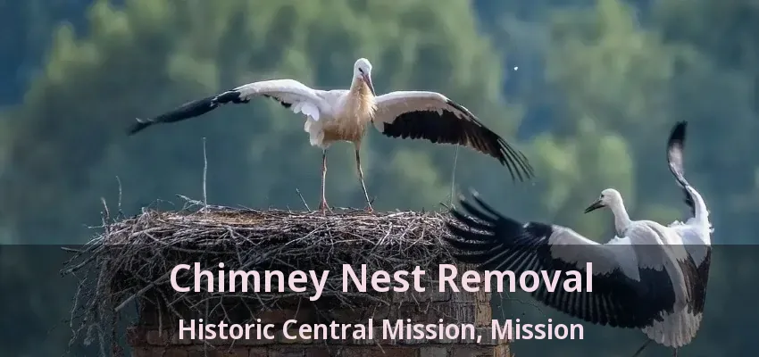 Chimney Nest Removal Historic Central Mission, Mission - BC