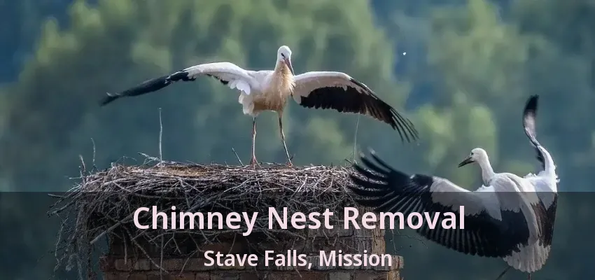 Chimney Nest Removal Stave Falls, Mission - BC