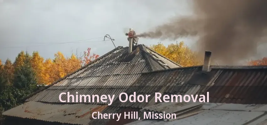 Chimney Odor Removal Cherry Hill, Mission - BC