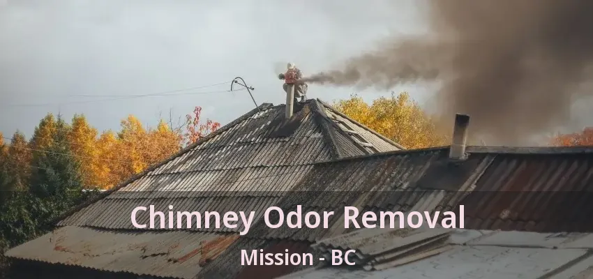 Chimney Odor Removal Mission - BC