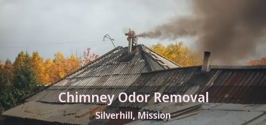 Chimney Odor Removal Silverhill, Mission - BC