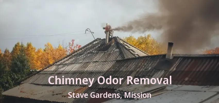 Chimney Odor Removal Stave Gardens, Mission - BC