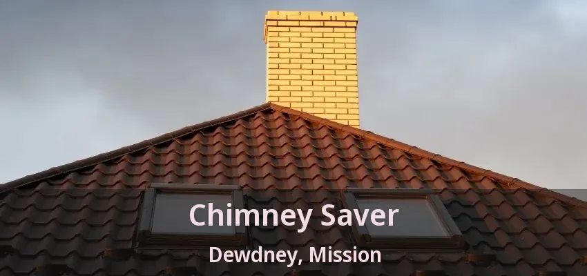 Chimney Saver Dewdney, Mission - BC