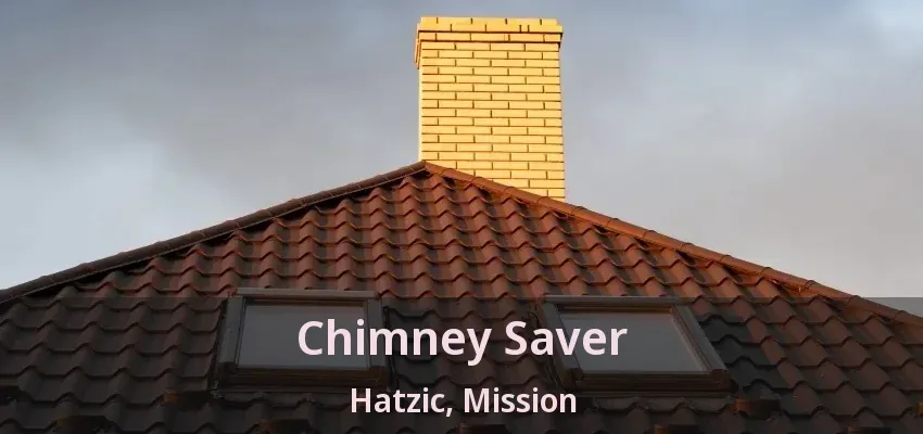 Chimney Saver Hatzic, Mission - BC