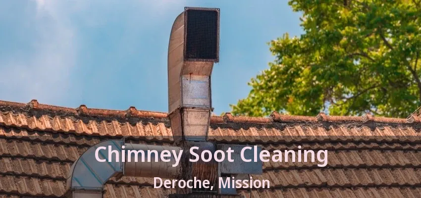 Chimney Soot Cleaning Deroche, Mission - BC