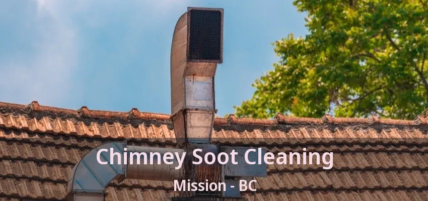 Chimney Soot Cleaning Mission - BC