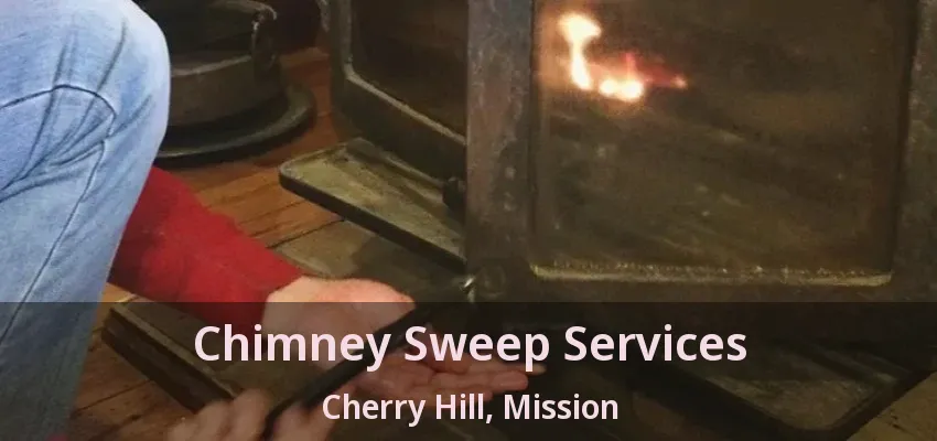 Chimney Sweep Services Cherry Hill, Mission - BC