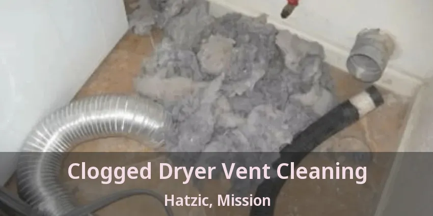 Clogged Dryer Vent Cleaning Hatzic, Mission - BC