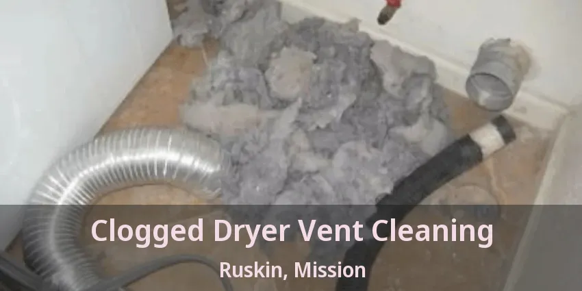 Clogged Dryer Vent Cleaning Ruskin, Mission - BC