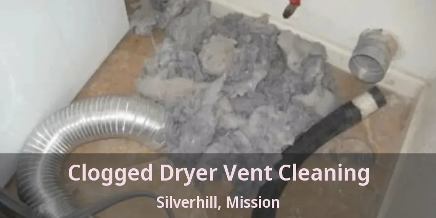 Clogged Dryer Vent Cleaning Silverhill, Mission - BC