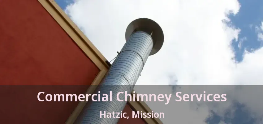 Commercial Chimney Services Hatzic, Mission - BC