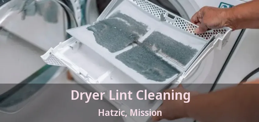 Dryer Lint Cleaning Hatzic, Mission - BC