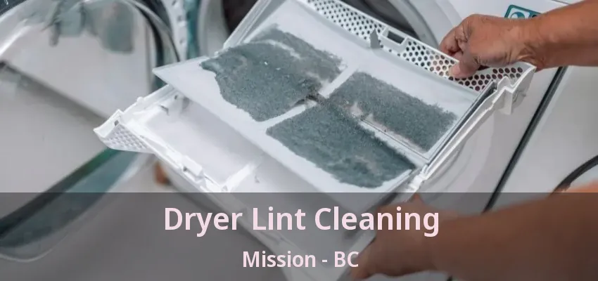 Dryer Lint Cleaning Mission - BC