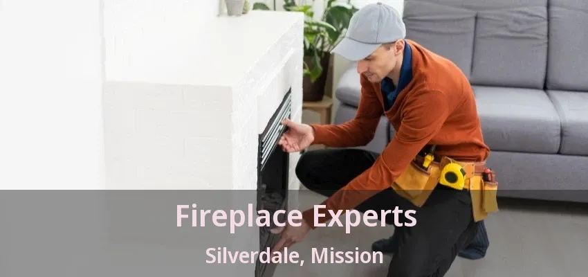 Fireplace Experts Silverdale, Mission - BC