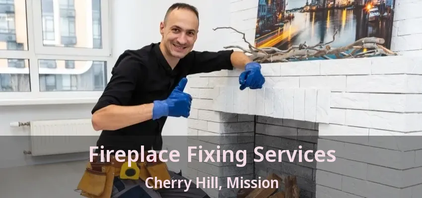 Fireplace Fixing Services Cherry Hill, Mission - BC