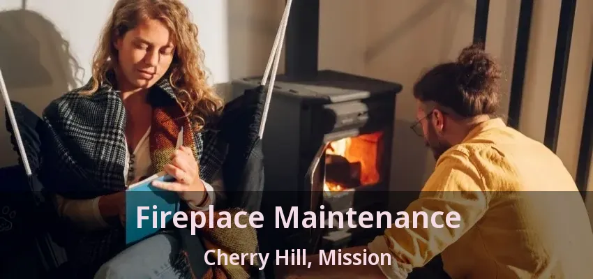 Fireplace Maintenance Cherry Hill, Mission - BC