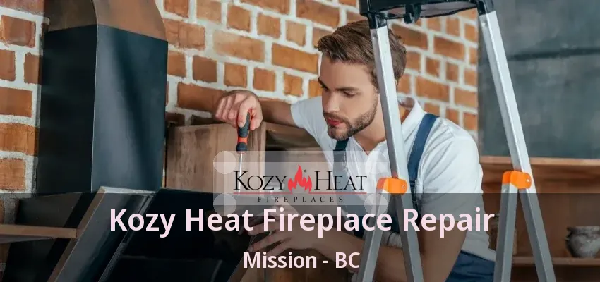 Kozy Heat Fireplace Repair Mission - BC