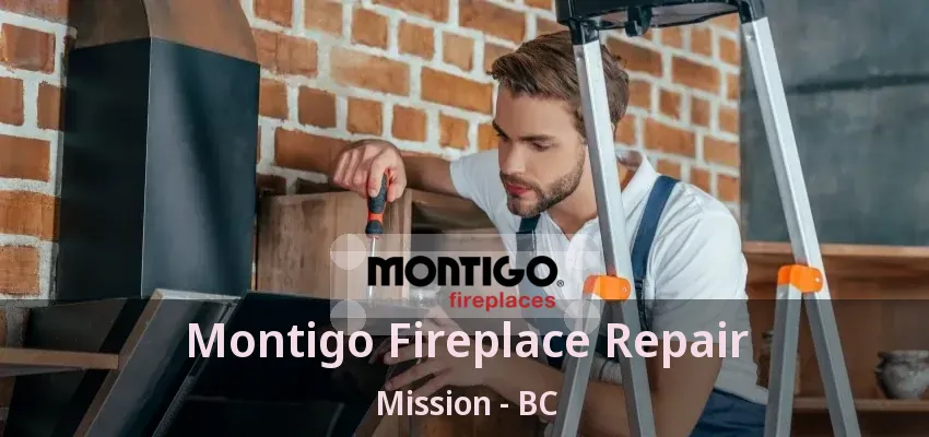 Montigo Fireplace Repair Mission - BC