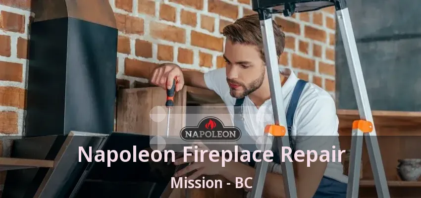 Napoleon Fireplace Repair Mission - BC