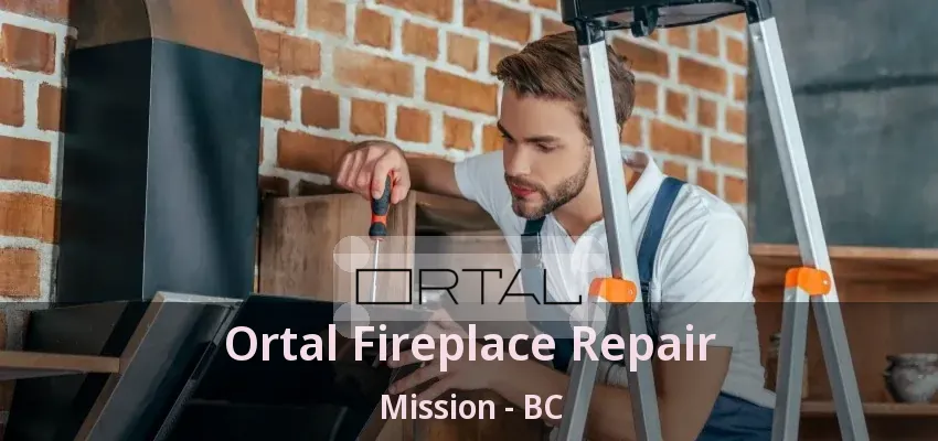 Ortal Fireplace Repair Mission - BC