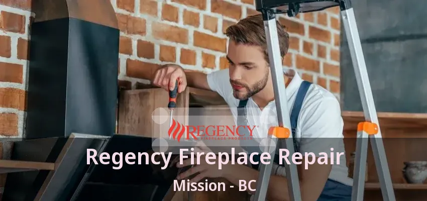 Regency Fireplace Repair Mission - BC