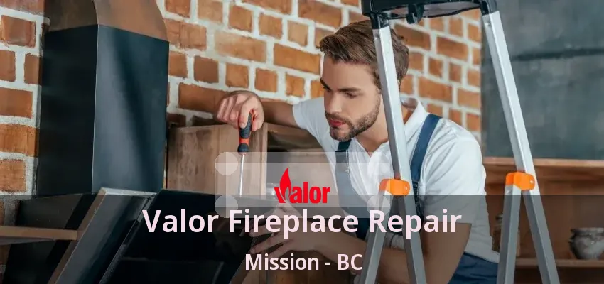 Valor Fireplace Repair Mission - BC