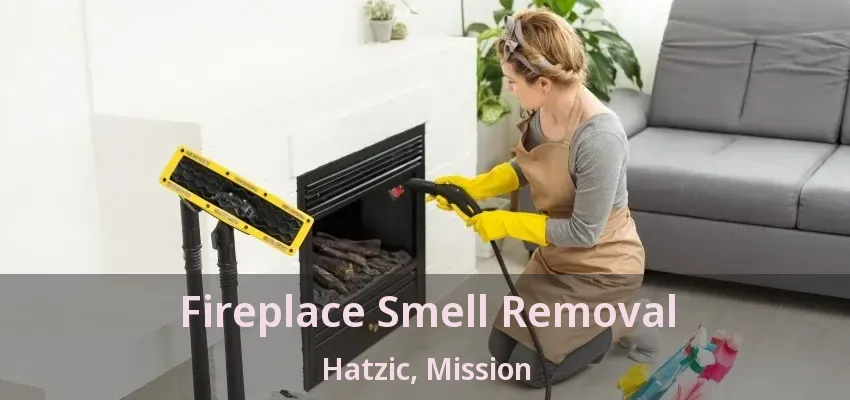 Fireplace Smell Removal Hatzic, Mission - BC