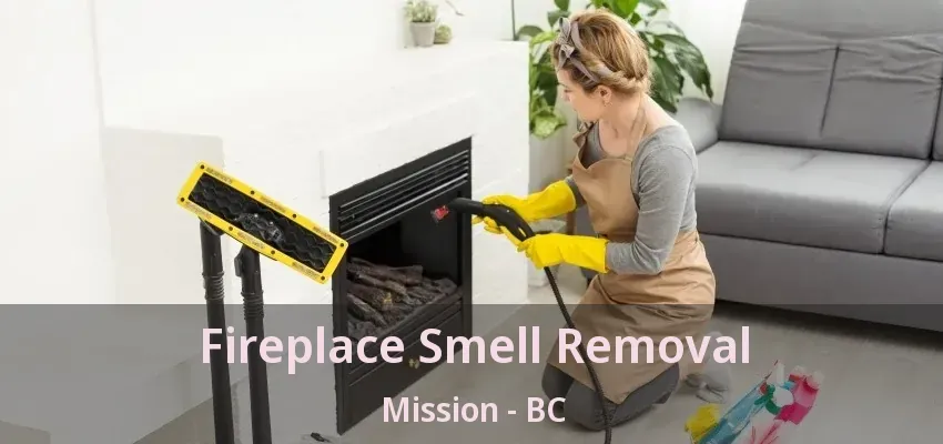 Fireplace Smell Removal Mission - BC