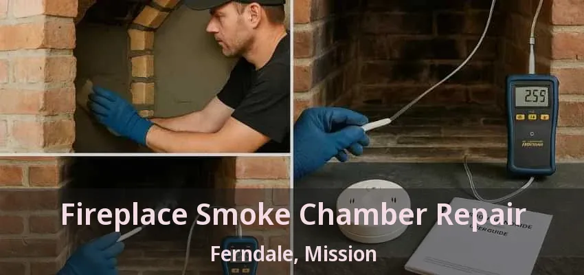 Fireplace Smoke Chamber Repair Ferndale, Mission - BC