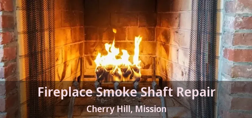 Fireplace Smoke Shaft Repair Cherry Hill, Mission - BC