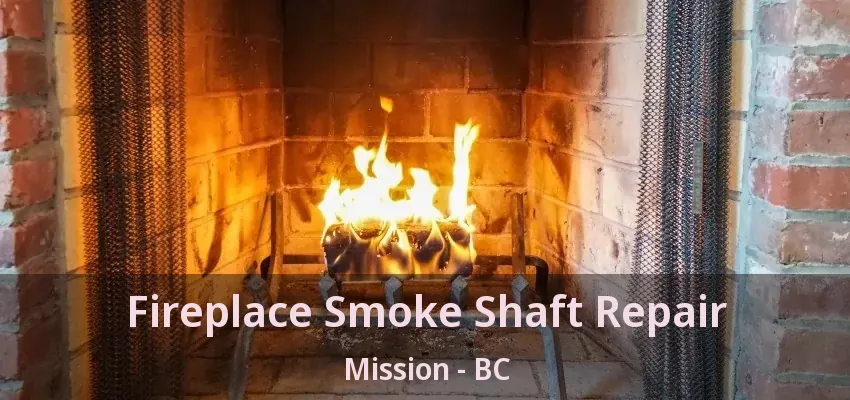 Fireplace Smoke Shaft Repair Mission - BC