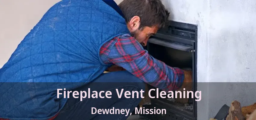 Fireplace Vent Cleaning Dewdney, Mission - BC